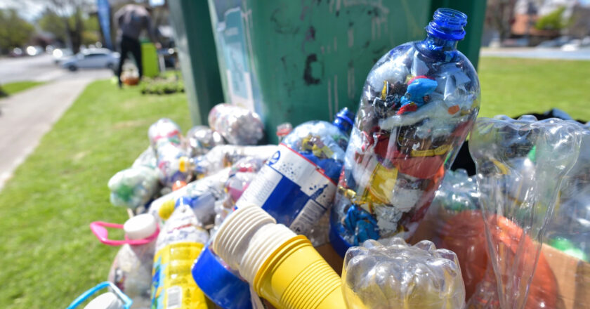 Nuevo dispositivo Punto Verde: a qué playa podés llevar tus desechos para reciclar