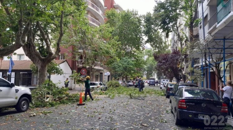 ¿Un tornado? Qué fue el fenómeno de viento, lluvia y granizo que sacudió a Mar del Plata