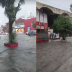 Tormenta en Mar del Plata: intensa caída de agua, rayos y calles anegadas