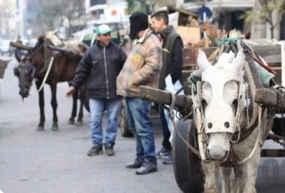 ¿No más tracción a sangre? Cómo repercute la caída del consumo entre los cartoneros