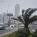 Cesó el alerta por tormenta pero rige otro por viento: alertan por ráfagas de hasta 75 kilómetros por hora