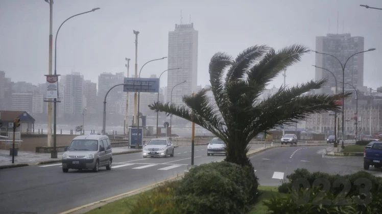 Cesó el alerta por tormenta pero rige otro por viento: alertan por ráfagas de hasta 75 kilómetros por hora
