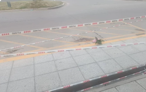 Piden la prisión preventiva del joven que mató a patadas a un hombre a la salida del boliche