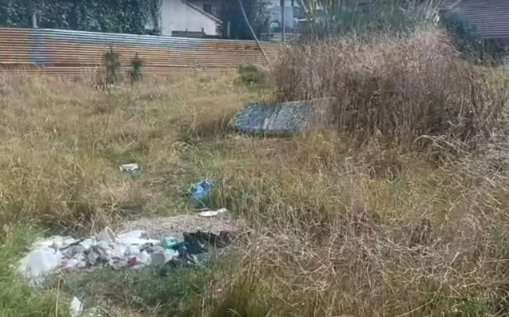 Femicidio en Punta Mogotes: prorrogaron el pedido de preventiva del único acusado