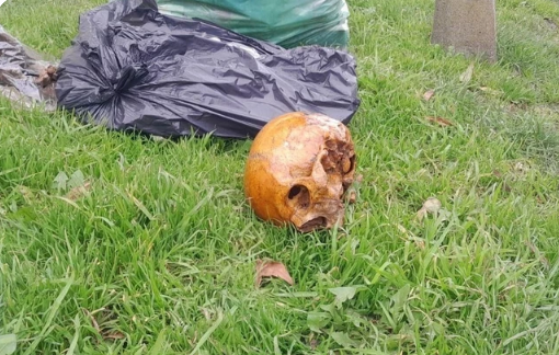 Macabro hallazgo: una mujer descubrió un cráneo y restos óseos tras bajar del colectivo