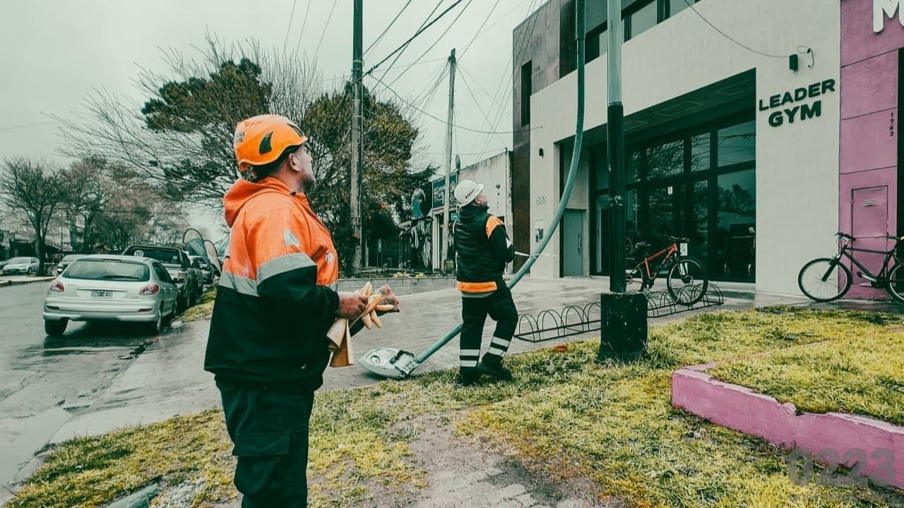 Postes y árboles caídos: se registraron 40 reclamos por el temporal en Mar del Plata