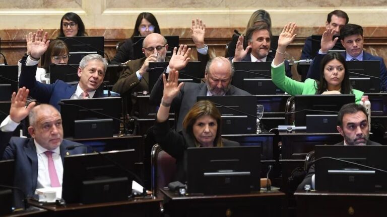 Zona Fría: el Senado aprobó el recorte de subsidios para Mar del Plata y otras localidades