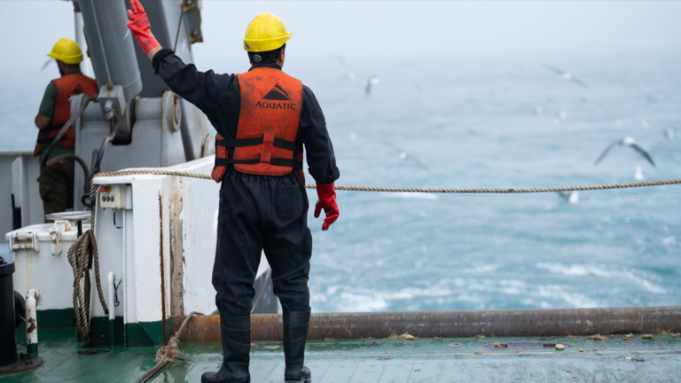 Inidep abre la inscripción para observadores a bordo de buques pesqueros en Mar del Plata