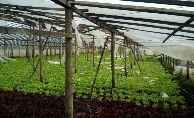 “Hace cinco años que lo pedimos”: productores de Mar del Plata apuntan contra la Provincia por la falta de obras…