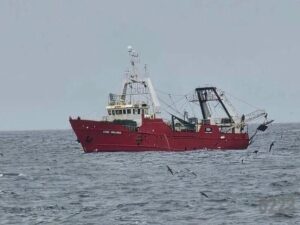 Crisis pesquera en Mar del Plata: advierten que los costos se dispararon y proponen medidas urgentes para sosten…